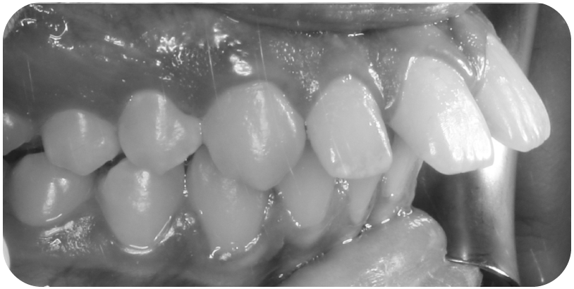 تحفيز-النمو2 (1)